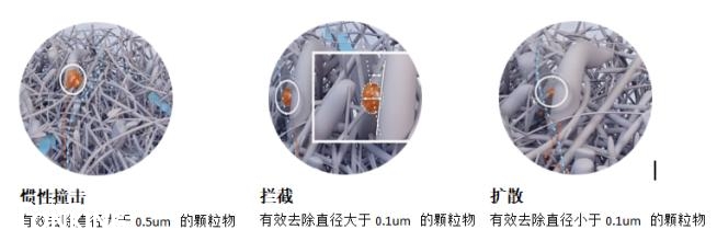 圖片4.jpg 圖片4.jpg